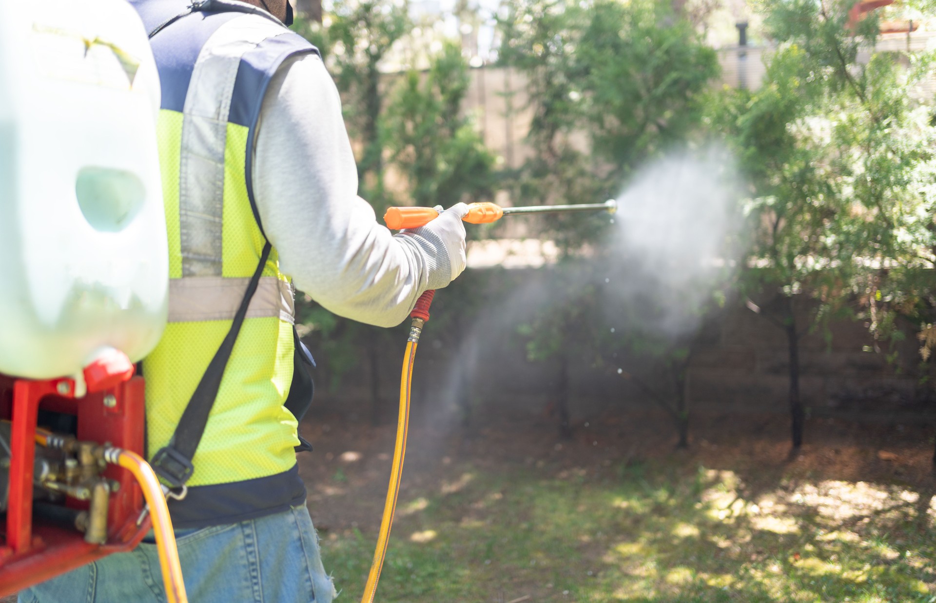 Doing Pest Control Outside House